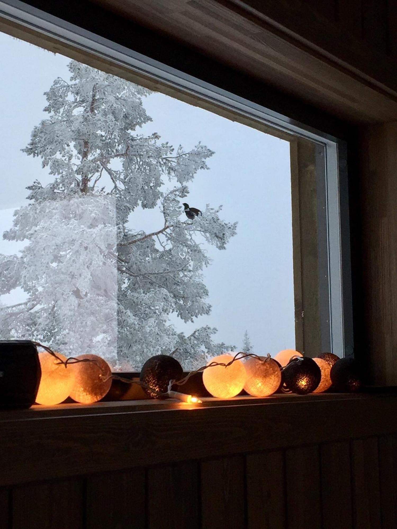 Sjusjoen Hytteutleie As Luaran gambar